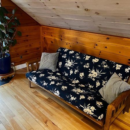 Bright And Cozy Treehouse Apartment Burlington Eksteriør bilde